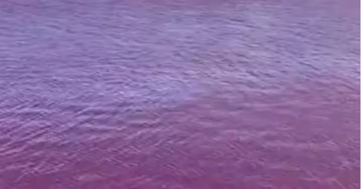 कसरी भयो जापानको यो नदी रातो ?