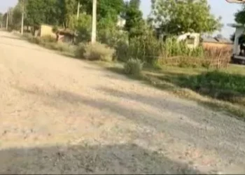 परसपुर-गौघाट सडक निर्माणमा ढिलासुस्ती