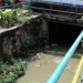 सामाखुसी खोलामा बगेर बेपत्ता बालक अझै फेला परेनन्