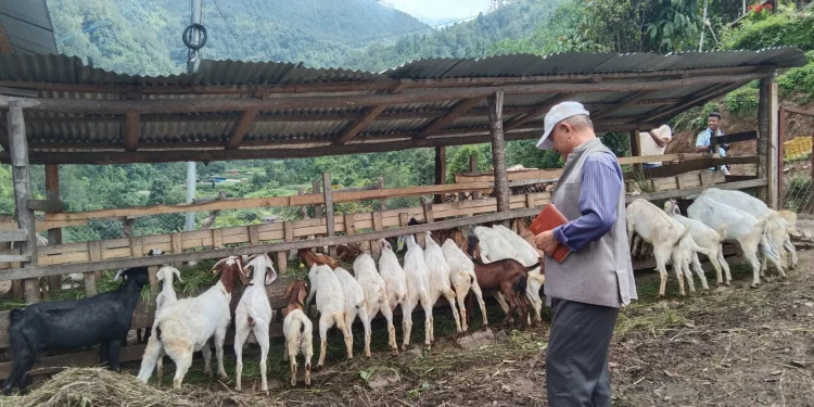 परम्परागत शैलीलाई व्यावसायिकतामा बदल्दै किसान