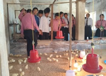 विद्यार्थीलाई सीपसँग जोड्दै ‘पढ्दै कमाउँदै’ कार्यक्रम