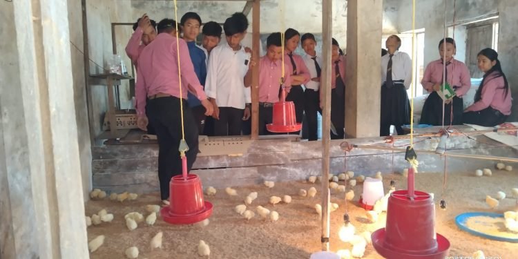 विद्यार्थीलाई सीपसँग जोड्दै ‘पढ्दै कमाउँदै’ कार्यक्रम
