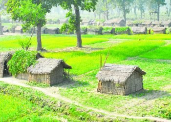 नेपालमा कति छन् भूमिहीन र सुकुम्बासी ?