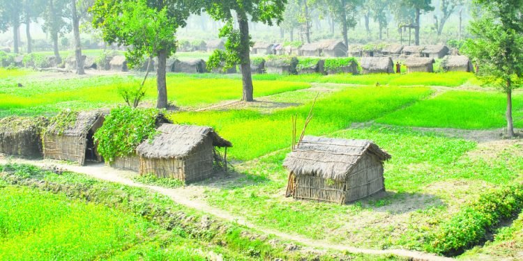 नेपालमा कति छन् भूमिहीन र सुकुम्बासी ?