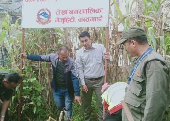टोखामा सार्वजनिक जग्गा मिचेर बनाइएका संरचना हटाइए