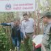 टोखामा सार्वजनिक जग्गा मिचेर बनाइएका संरचना हटाइए