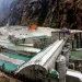 अपर तामाकोशीलाई शतप्रतिशत हकप्रद सेयर बिक्रीको अनुमति