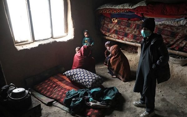 अफगानिस्तानमा हेपाटाइटिसका कारण जन्डिसका संक्रमित बढ्दै