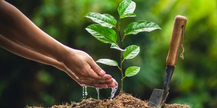 वृक्षरोपण गरेर राष्ट्रिय भू-संरक्षण दिवस मनाइँदै