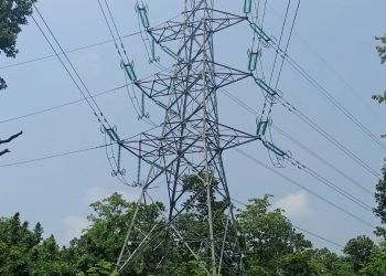 भरतपुर–बर्दघाट प्रसारण लाइन निर्माण सम्पन्न