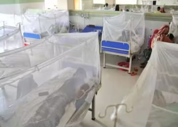बंगलादेशमा डेंगुका कारण झन्डै तीन सयको मृत्यु, बिरामीले अस्पताल भरिए