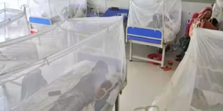बंगलादेशमा डेंगुका कारण झन्डै तीन सयको मृत्यु, बिरामीले अस्पताल भरिए