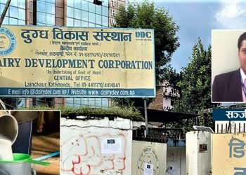 डिडिसीको कर्तुतः किसानले पाएनन् करोडौंको भुक्तानी