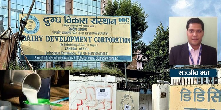 डिडिसीको कर्तुतः किसानले पाएनन् करोडौंको भुक्तानी