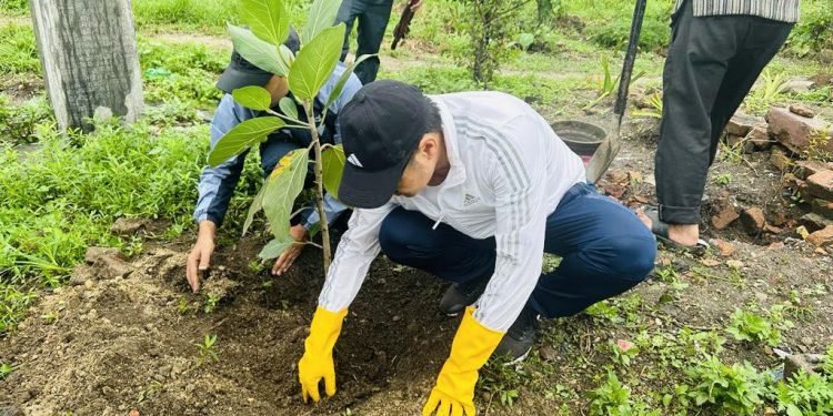 बुबाआमाको नाममा मन्त्री किरातीले रोपे वरपिपल