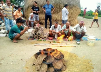 धानलाई रोगबाट जोगाउन थारू गाउँमा हरेरी पूजा