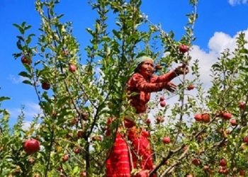 फलफूल भण्डार बन्दै कर्णाली