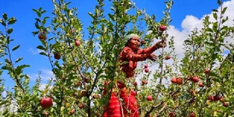 फलफूल भण्डार बन्दै कर्णाली