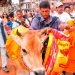 आज गाईजात्रा मनाइँदै, यस्तो छ महत्व