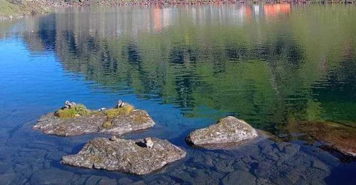 गोसाइँकुण्ड मेलामा तीर्थयात्रुको उपचारका लागि चिकित्सक टोली तयार