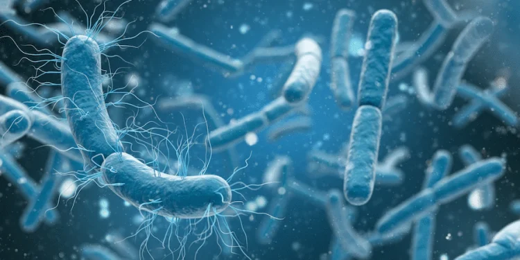 कैलालीमा हैजाको बिरामी फेला