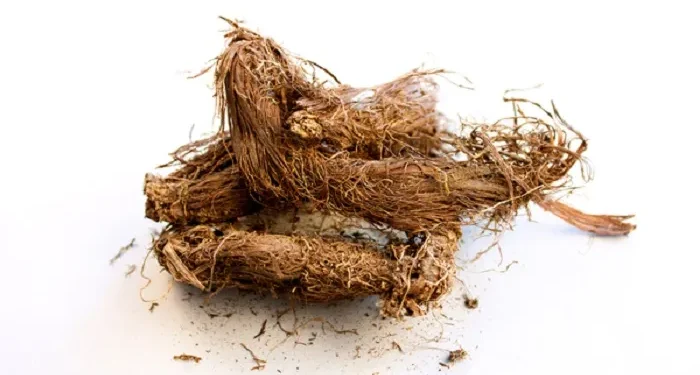 जटामसीको प्रयोगले भित्री पेटदेखि बाहिरी छालासम्मको गर्छ सफाइ