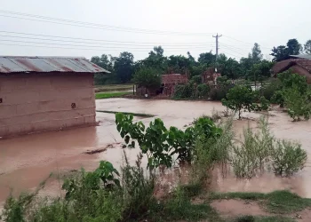 बर्सेनि बाढी र डुबानबाट कैलालीमा अत्यधिक क्षति