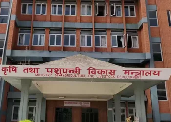 कृषि मन्त्रालयले स्थानीय तहमा पशु चिकित्सा स्नातक भर्ना गर्ने