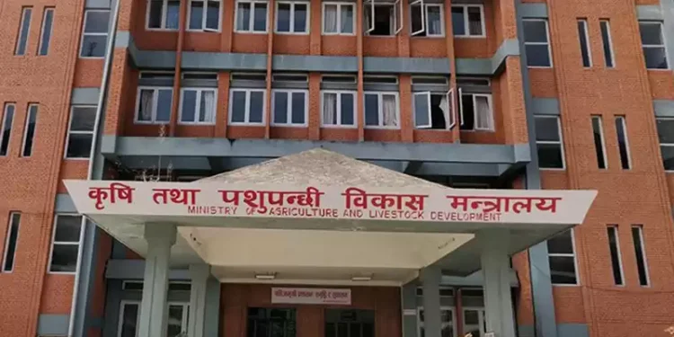 कृषि मन्त्रालयले स्थानीय तहमा पशु चिकित्सा स्नातक भर्ना गर्ने