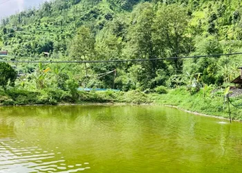 कृषिमा रमाउँदै लाहुरे गुरुङ