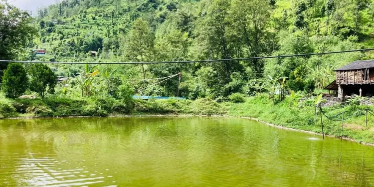 कृषिमा रमाउँदै लाहुरे गुरुङ