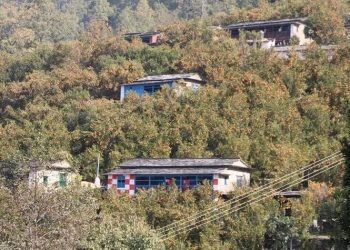 बाँसखर्कको लोकप्रिय सुन्तला व्यावसायिक उत्पादनका लागि उन्मोचित