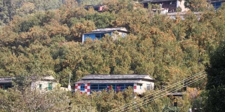 बाँसखर्कको लोकप्रिय सुन्तला व्यावसायिक उत्पादनका लागि उन्मोचित