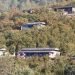 बाँसखर्कको लोकप्रिय सुन्तला व्यावसायिक उत्पादनका लागि उन्मोचित