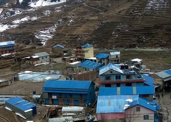 विकासका काममा केन्द्रित सिञ्जा गाउँपालिका
