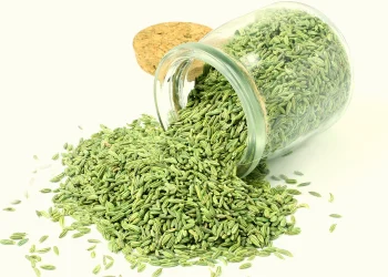 सोफ खानु स्वास्थ्यका लागि फाइदै फाइदा