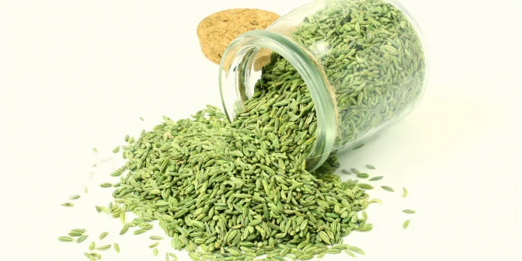 सोफ खानु स्वास्थ्यका लागि फाइदै फाइदा