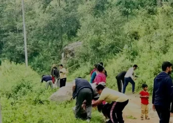 भोजपुरको हतुवागढीमा श्रमदानमार्फत सडक मर्मत
