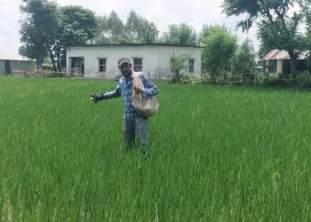 सियारीमा किसानलाई प्रतिफलमा आधारित अनुदान