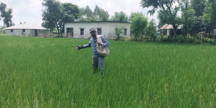 सियारीमा किसानलाई प्रतिफलमा आधारित अनुदान