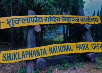 शुक्लाफाँटामा वन्यजन्तुको आहारा पहिचान गरिँदै