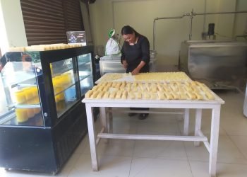 स्याङ्जामा उत्पादित छुर्पी अमेरिका निर्यात