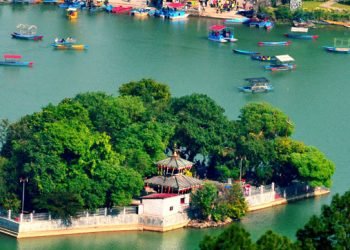मोती पाइन सक्छ पोखराका तालमा