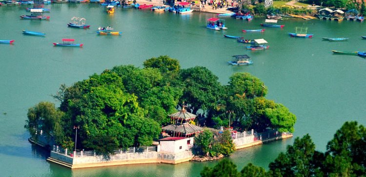 मोती पाइन सक्छ पोखराका तालमा