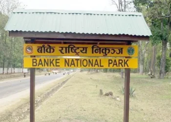 बाँके राष्ट्रिय निकुञ्जमा दुर्घटना न्यूनीकरणको उपाय अवलम्बन गरिँदै