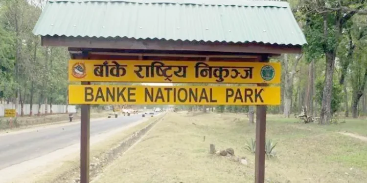बाँके राष्ट्रिय निकुञ्जमा दुर्घटना न्यूनीकरणको उपाय अवलम्बन गरिँदै