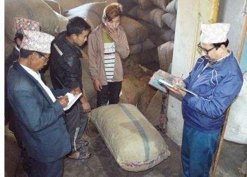 अलैँचीको मूल्यवृद्धिले किसान उत्साहित