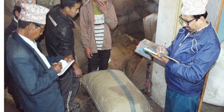 अलैँचीको मूल्यवृद्धिले किसान उत्साहित