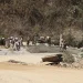 बागलुङमा एक दर्जन विकास निर्माणका आयोजना अधुरै
