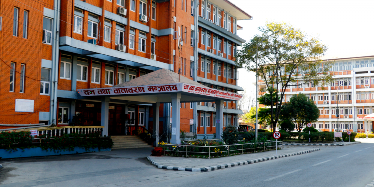 वन मन्त्रालयमा विकृति मौलाउँदो, कर्मचारी व्यवस्थापनमा त्रुटि नै त्रुटि